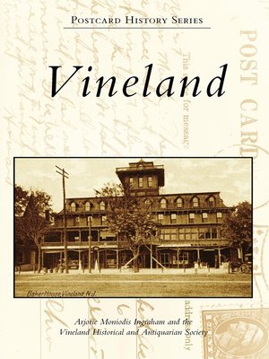 cover image of Vineland